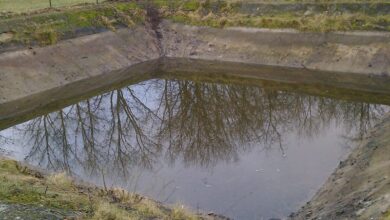W grudniu 2015r. wykonano nowe ogrodzenie stawu p.poż. w miejscowości Zegrze Pomorskie. Stare ogrodzenie było zniszczone, występowały liczne ubytki w ogrodzeniu, co groziło wejściem osób postronnych na teren basenu. Wykonano demontaż starego ogrodzenia oraz zamontowano nowe ogrodzenie wraz z bramą wjazdową. Przy okazji została odpompowana woda i staw został oczyszczony ze śmieci, gałęzi. Wartość inwestycji 9 999,90 zł Jednocześnie pragniemy złożyć podziękowania Ochotniczej Straży Pożarnej w Niedalinie za odpompowanie wody ze stawu p.poż.